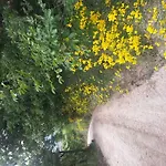 Girfalco Country House לינה וארוחת בוקר *