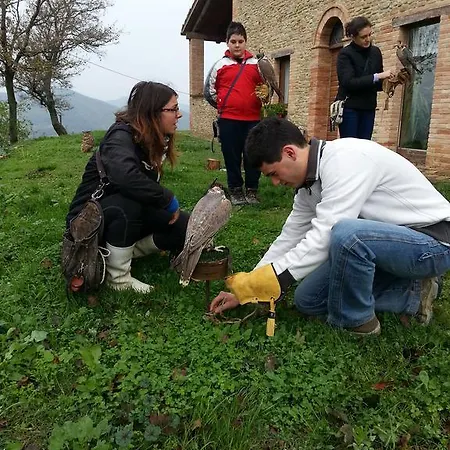 Girfalco Country House *