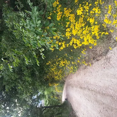 Girfalco Country House Panzió *