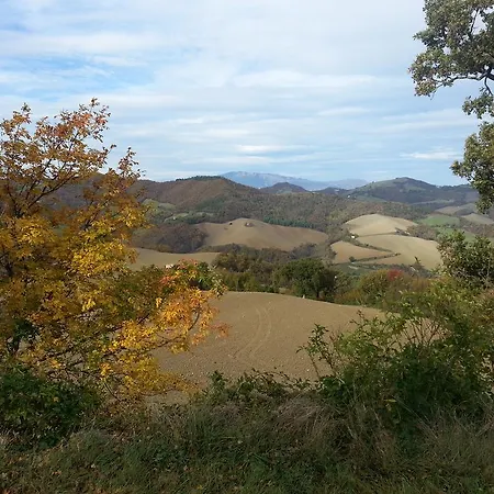 Girfalco Country House Panzió